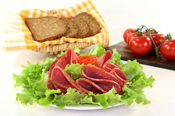 Image showing Salami