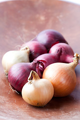 Image showing Red and yellow onions