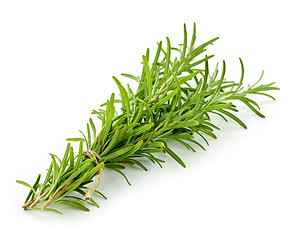 Image showing Rosemary sprigs