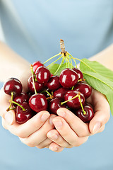 Image showing Hands holding bunch of cherries
