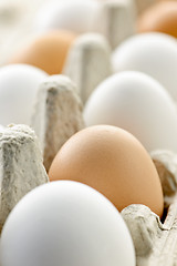 Image showing Eggs