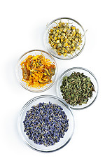 Image showing Dried medicinal herbs