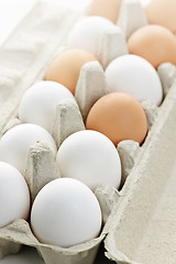 Image showing Eggs