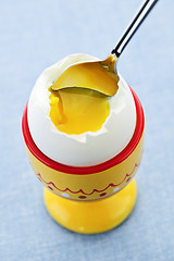 Image showing Soft boiled egg in cup