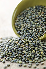 Image showing Bowl of uncooked French lentils