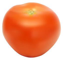 Image showing llustration of the red and fresh tomato