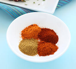 Image showing Hot Spices