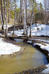 Image showing River in the forest