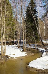 Image showing River in the forest