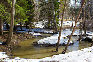 Image showing River in the forest