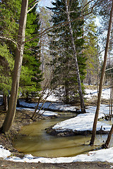 Image showing River in the forest