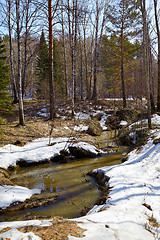 Image showing River in the forest