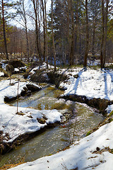 Image showing River in the forest