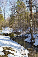 Image showing River in the forest