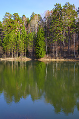 Image showing Pond