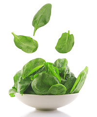 Image showing fresh spinach in a white bowl 