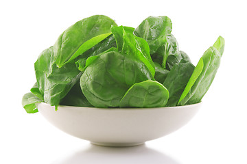 Image showing fresh spinach in a white bowl 
