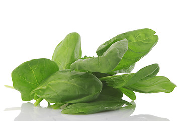 Image showing front view of fresh spinach, vegetarian food