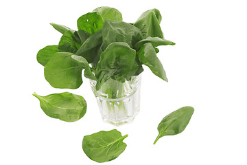 Image showing fresh spinach in a glass