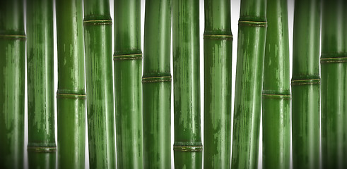 Image showing hard bamboo background