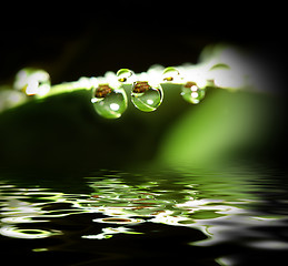 Image showing water drop background