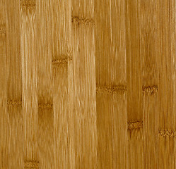 Image showing bamboo fine detail texture