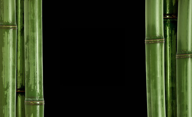 Image showing hard bamboo background