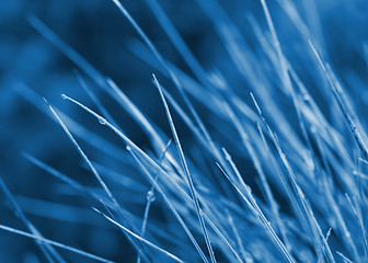 Image showing blue abstract background