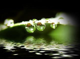 Image showing water drop background