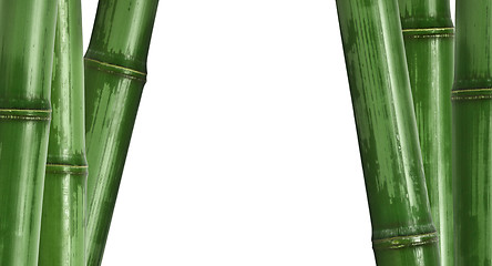 Image showing bamboo background isolated on white