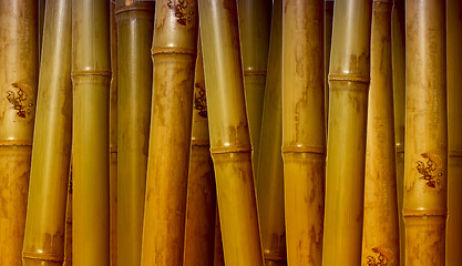 Image showing bamboo background