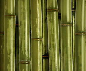 Image showing fine bamboo background