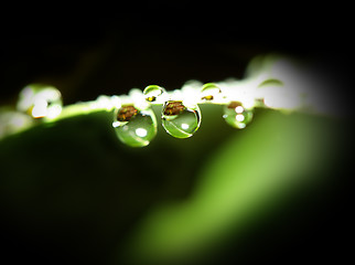 Image showing water drop background