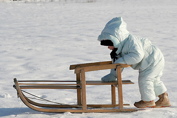 Image showing Pushing my sled