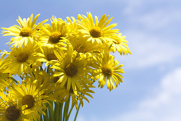 Image showing Bouquet of yellow flowers