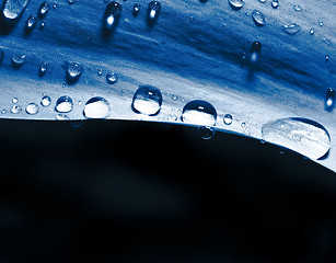 Image showing abstract drop