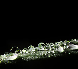 Image showing raindrop on leaf