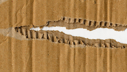 Image showing Corrugated cardboard