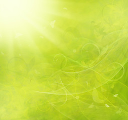 Image showing Summer raster background