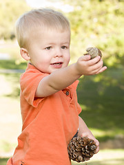 Image showing Cute Young Boy with Pine Cones in the Park