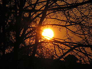 Image showing sunset