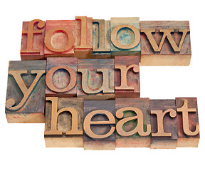 Image showing follow your heart