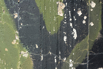 Image showing Camouflage paint.