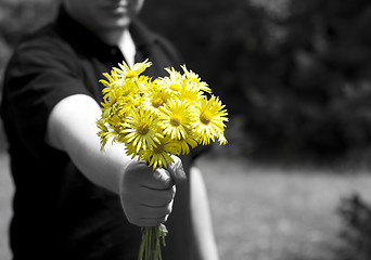 Image showing Yellow flowers