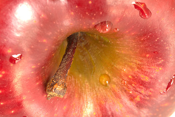 Image showing Rose Apple Background