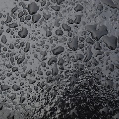 Image showing Water droplet