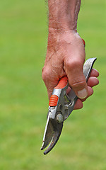 Image showing garden's tool
