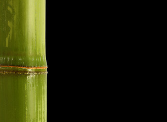 Image showing bamboo detail background