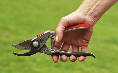 Image showing tool garden