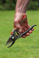 Image showing garden's tool